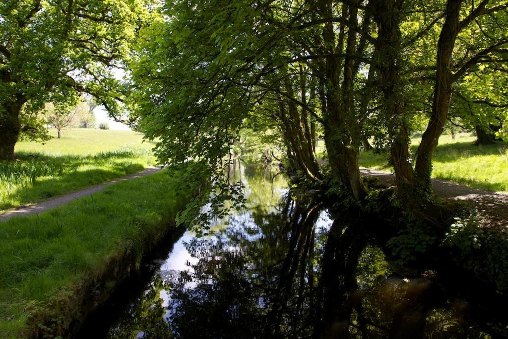 Tully'S Hotel Castlerea Kültér fotó